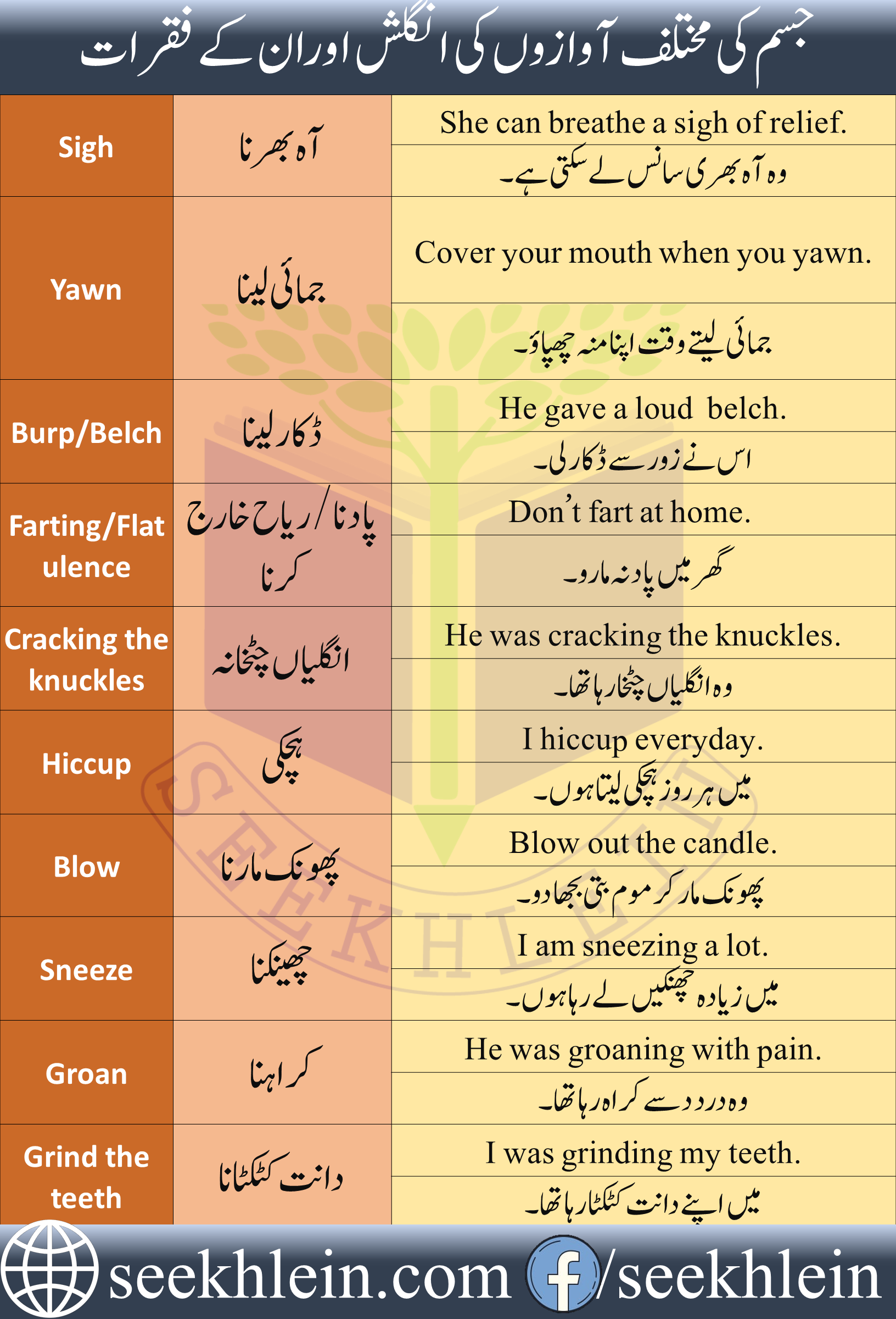 English Vocabulary for Voice of Body Parts