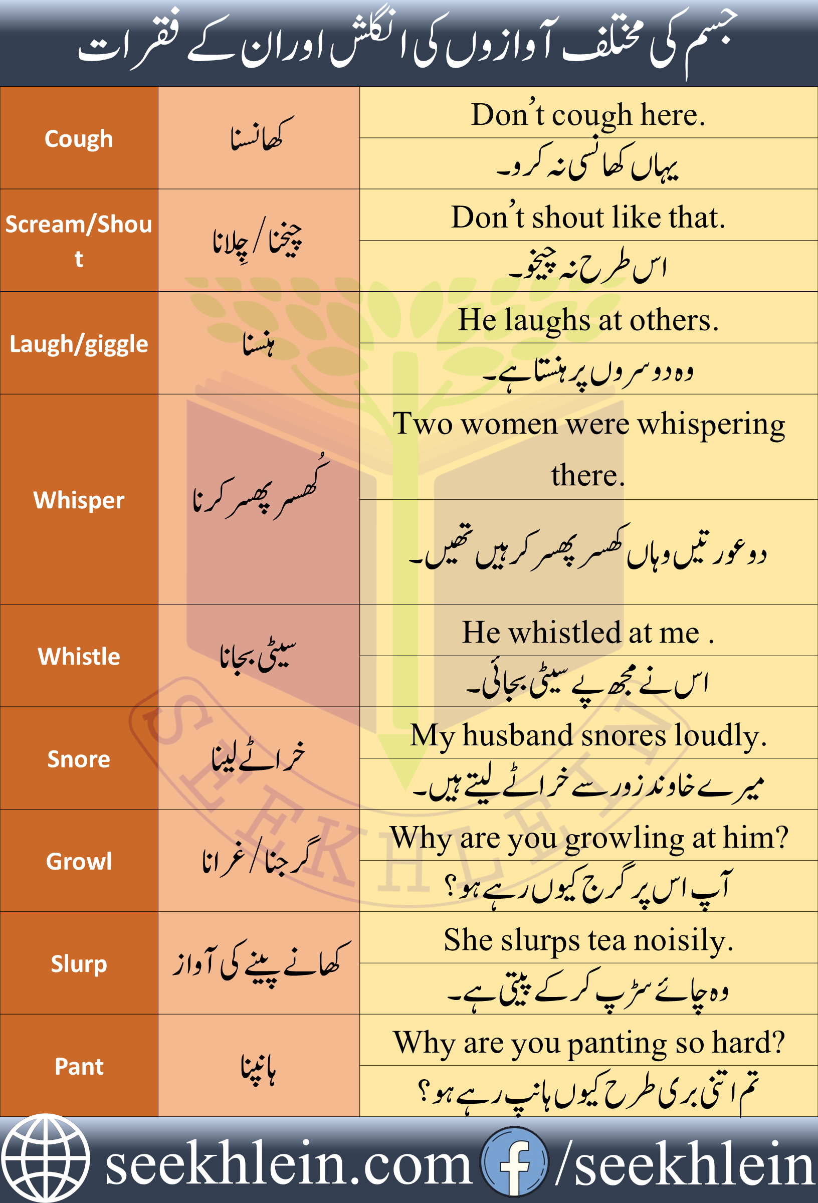 Urdu to English Vocabulary in Use