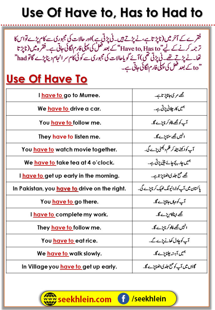 Use of have to, has to and had to with examples