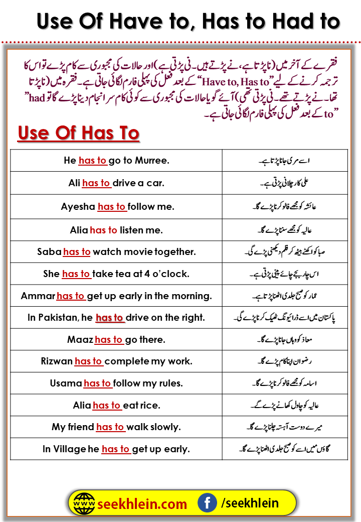 Use of have to, has to and had to with examples