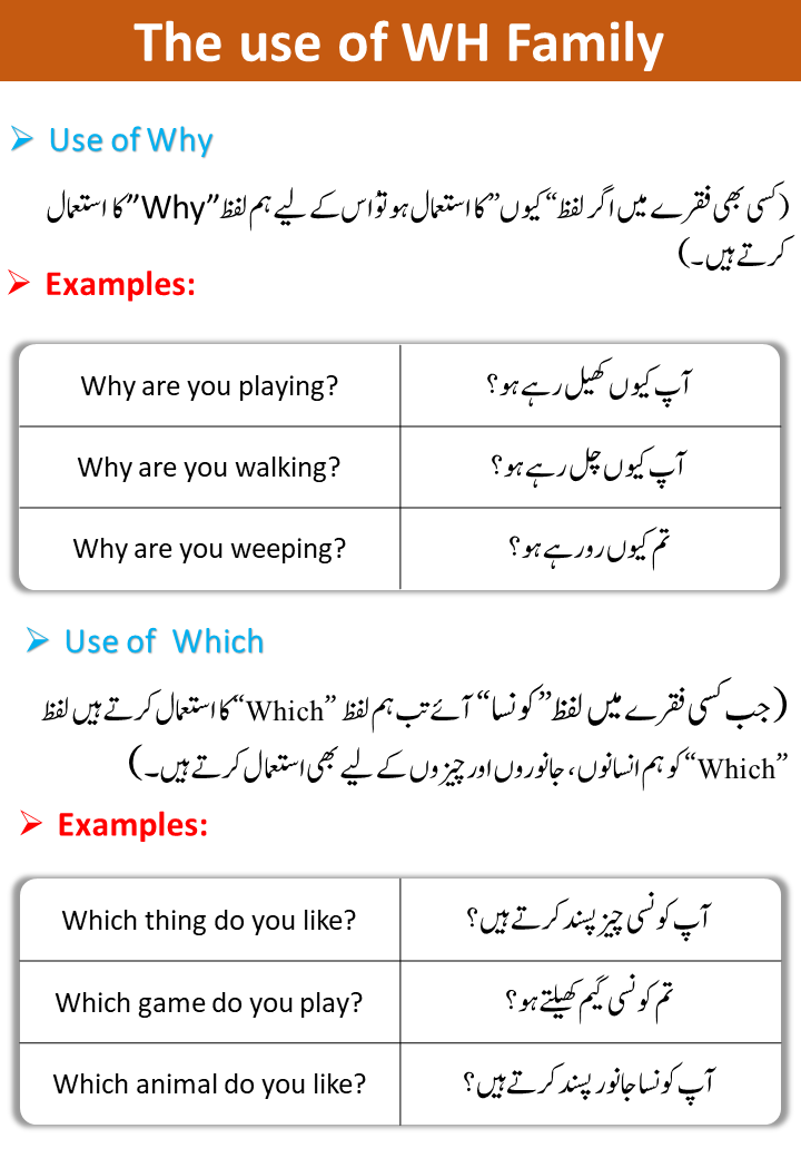 All Wh Family With Examles