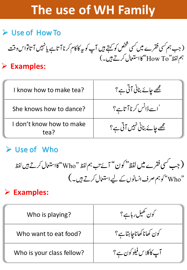 Wh Words And Examples