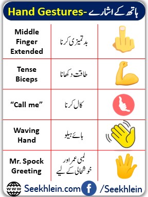 Hand Gestures Call me