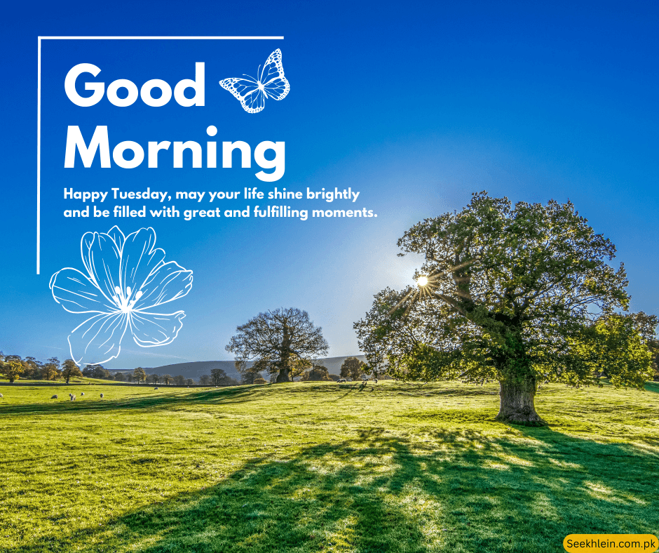Joyful Good Morning Blessings on Tuesday