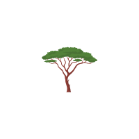 Trees names with pictures
