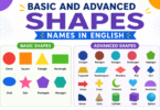 Other Mathematical Shapes