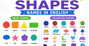 Other Mathematical Shapes