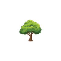 100+ Tree Names in English with Pictures