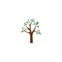 Types of trees names
