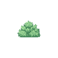 shrubs