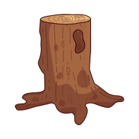 Trees names
