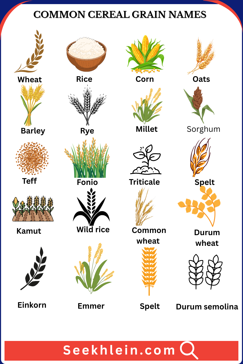 Grain crops names in english