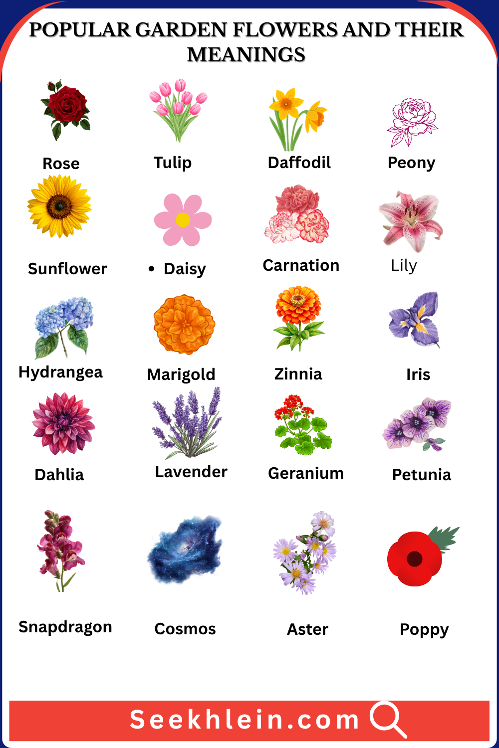 Flower Names in English: 150+ Types with Photos you will amaze