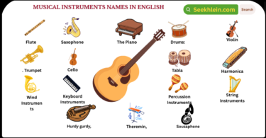 Musical Instruments names in English