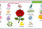 Flower Names in English: 150+ Types with Photos you will amaze