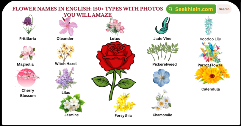 Flower Names in English: 150+ Types with Photos you will amaze