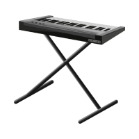 Keyboard Instruments