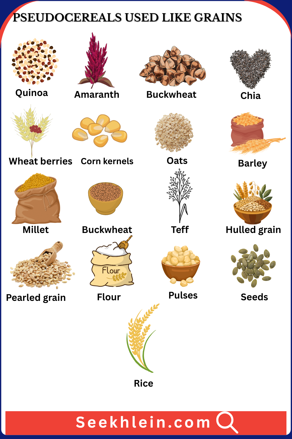 100+ Grain Crops Names with Pictures: Complete List