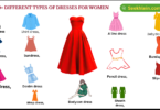 150+ Different Types of Dresses for Women